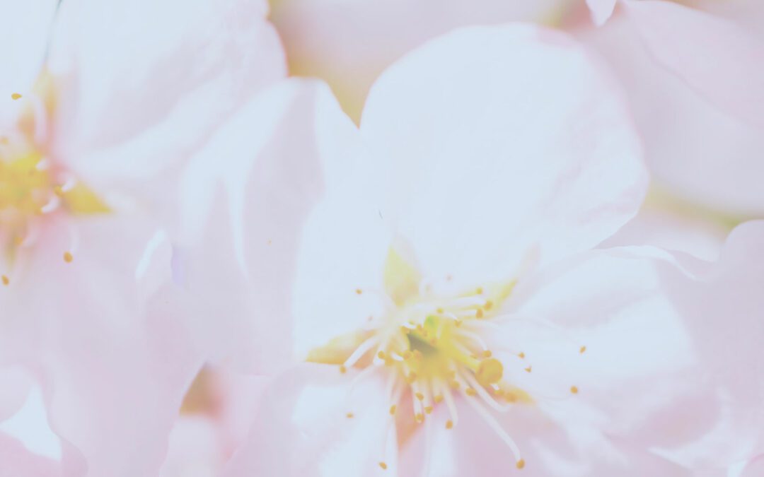 claire-roux-therapeute-shiatsu-et-therapie-breve-methodes-peat---villeneuve-les-bouloc-toulouse