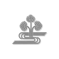 shiatsu-siare-toulouse