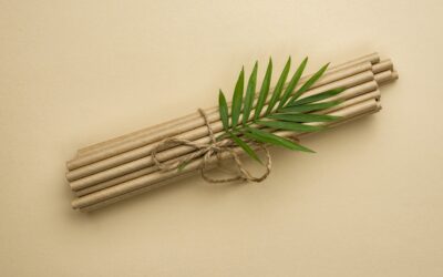 Moxibustion et Ventouses à froid, 2 outils complémentaires au Shiatsu