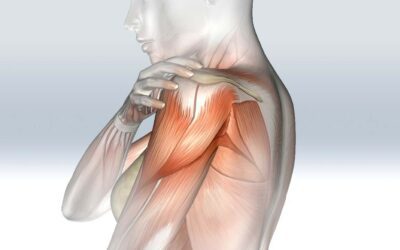 Points Trigger et Fascias en complément d’une séance de Shiatsu