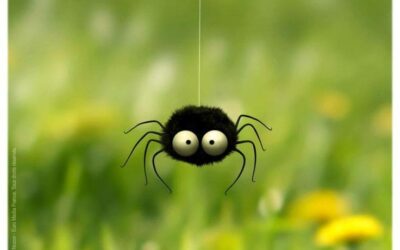 L’efficacité des Méthodes PEAT face aux phobies : une approche rapide et énergétique.