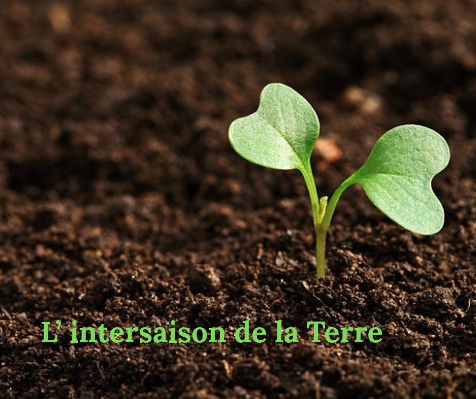 association connexion à soi